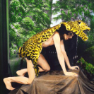 Ninos Du Brazil: Novos Mistérios