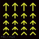 JK Flesh: New Horizon