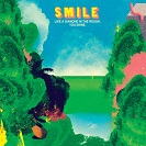 SMILE: Like A Diamond in the Rough, You Shine