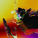 Motion Graphics: Motion Graphics