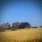 Sun Kil Moon: Benji