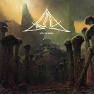 Bong: Live At The Cairo High Cinema Institute