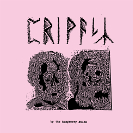 Raspberry Bulbs: Privacy