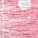 My Apologies: Shantih