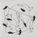 Olga Bell: Randomness