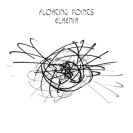 Floating Points: Elaenia