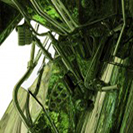 WIFE: Standard Nature (EP)